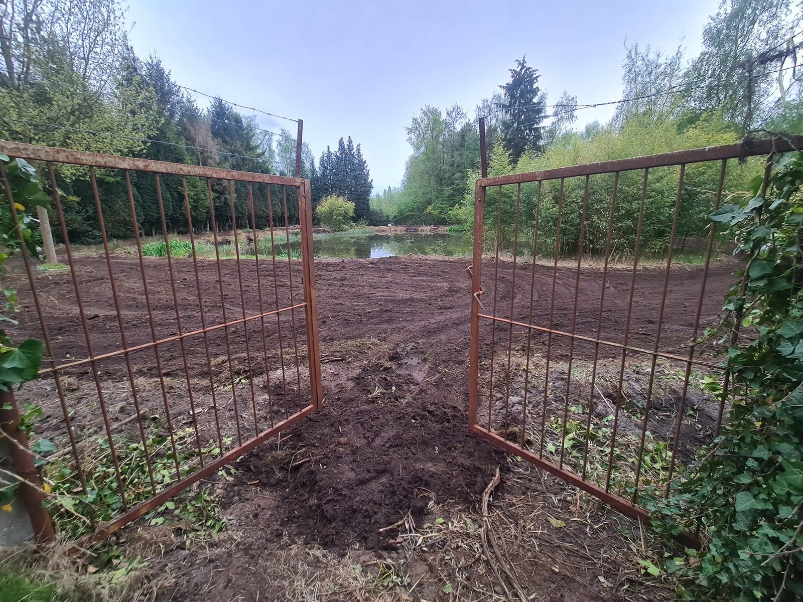 473584034_4198996353716139_1939153045128550848_n