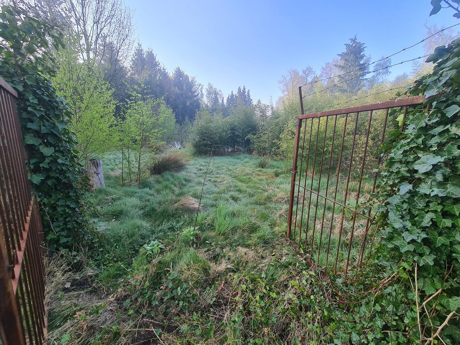 473612116_4198996417049466_5049394476735707641_n